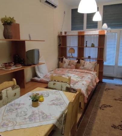 Comfortable And Cosy Studio Near Ndk Sofia Extérieur photo